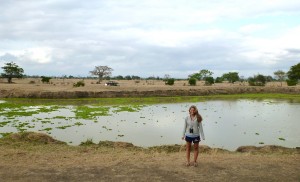 If you can't make it to a water hole in the Veldt, you can still celebrate WWD at home.