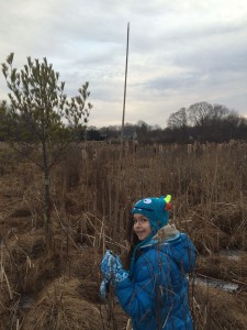  My daughter and I like to hike across the wetland when it is frozen-it is quite an adventure!