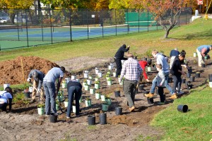 Workshop participants planting the rain garden at Central High School in Bridgeport.