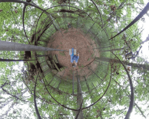 360-degree view of bear cage