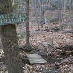 long trail straight sign in forest